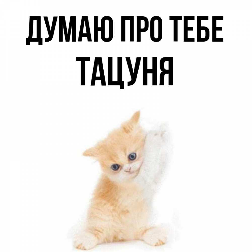 Открытка на каждый день з підписом, Тацуня Думаю про тебе зверушки и милота Прикольна листівка з побажанням онлайн скачати безкоштовно 