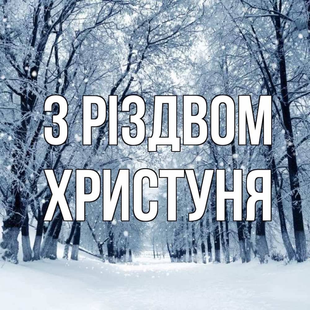 Открытка на каждый день з підписом, Христуня З Різдвом снег, лес, парк Прикольна листівка з побажанням онлайн скачати безкоштовно 