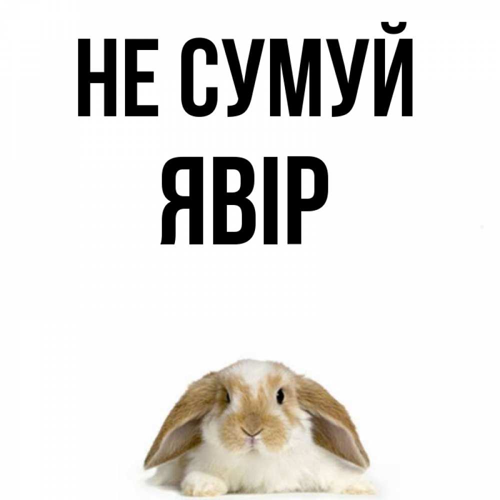 Открытка на каждый день з підписом, Явір Не сумуй коричнево белый заяц с большими ушками Прикольна листівка з побажанням онлайн скачати безкоштовно 