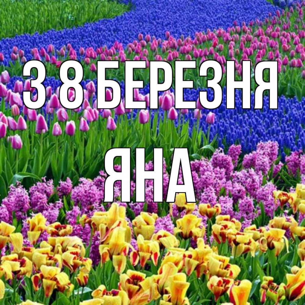 Открытка на каждый день з підписом, Яна З 8 БЕРЕЗНЯ цветы Прикольна листівка з побажанням онлайн скачати безкоштовно 