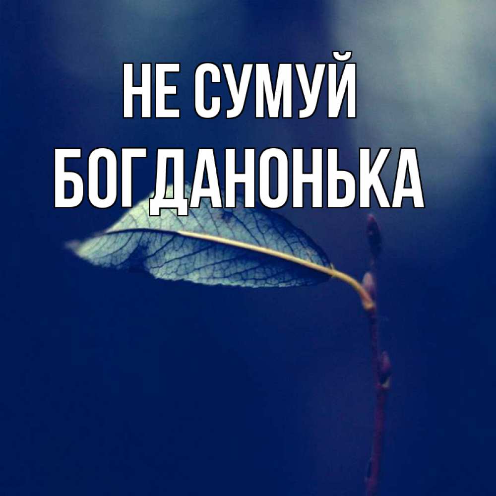 Открытка на каждый день з підписом, Богданонька Не сумуй растение Прикольна листівка з побажанням онлайн скачати безкоштовно 