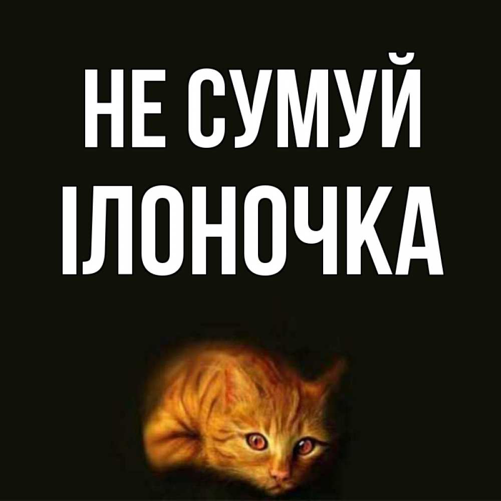 Открытка на каждый день з підписом, Ілоночка Не сумуй лежащий кот в темноте Прикольна листівка з побажанням онлайн скачати безкоштовно 