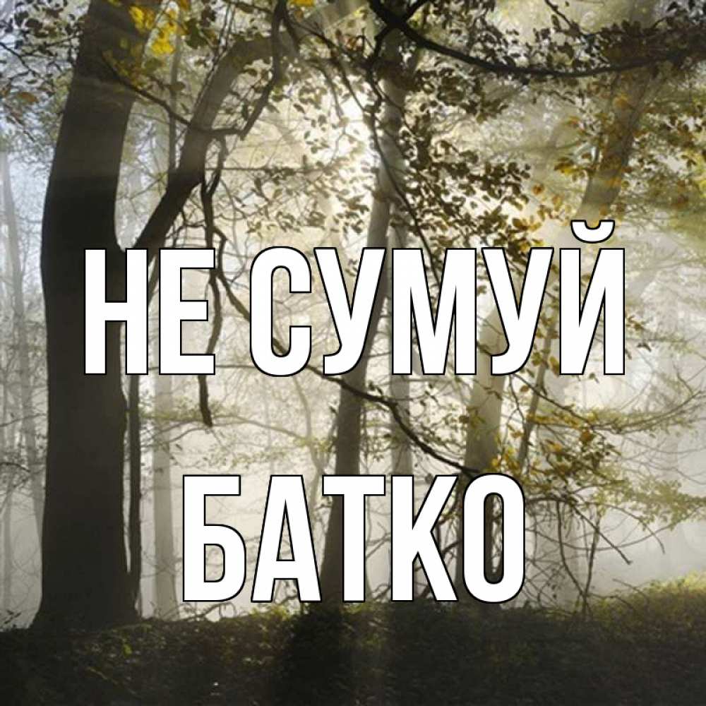 Открытка на каждый день з підписом, Батко Не сумуй лес и свет Прикольна листівка з побажанням онлайн скачати безкоштовно 