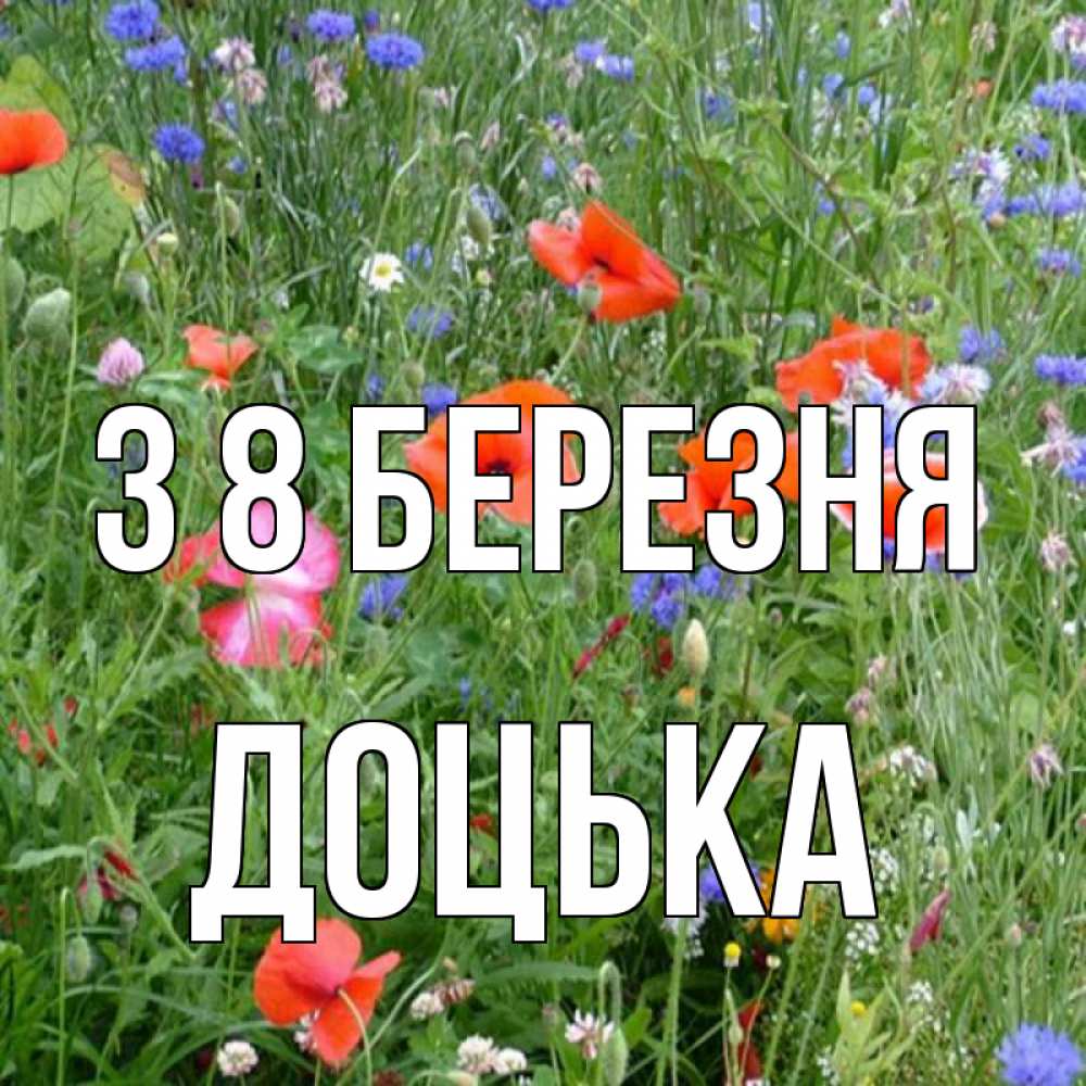Открытка на каждый день з підписом, Доцька З 8 БЕРЕЗНЯ международный женский день 4 Прикольна листівка з побажанням онлайн скачати безкоштовно 