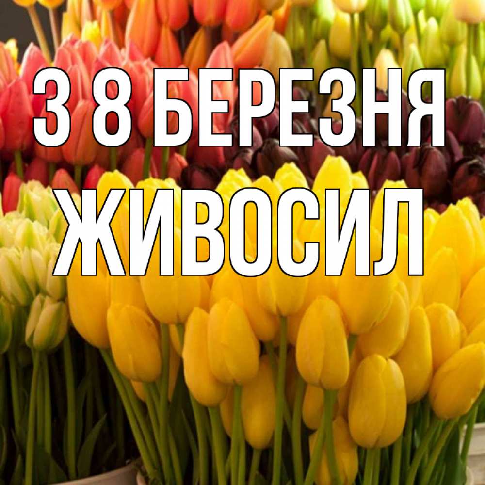 Открытка на каждый день з підписом, Живосил З 8 БЕРЕЗНЯ цветы Прикольна листівка з побажанням онлайн скачати безкоштовно 