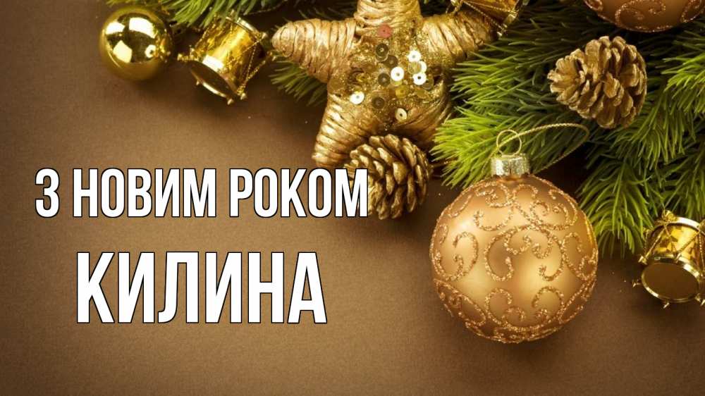 Открытка на каждый день з підписом, Килина З новим роком новый год Прикольна листівка з побажанням онлайн скачати безкоштовно 