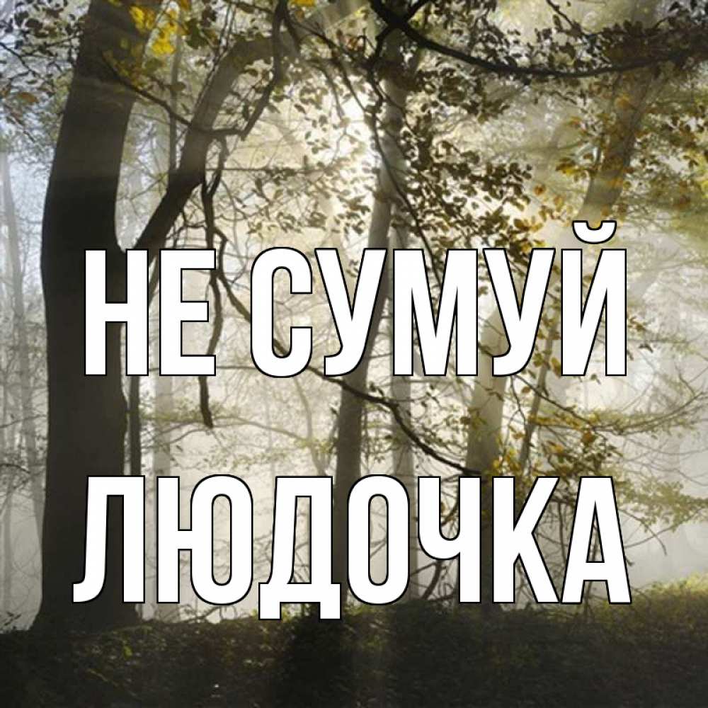 Открытка на каждый день з підписом, Людочка Не сумуй лес и свет Прикольна листівка з побажанням онлайн скачати безкоштовно 