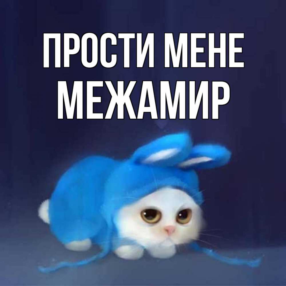Открытка на каждый день з підписом, Межамир Прости мене невинный котозай просит прощения Прикольна листівка з побажанням онлайн скачати безкоштовно 