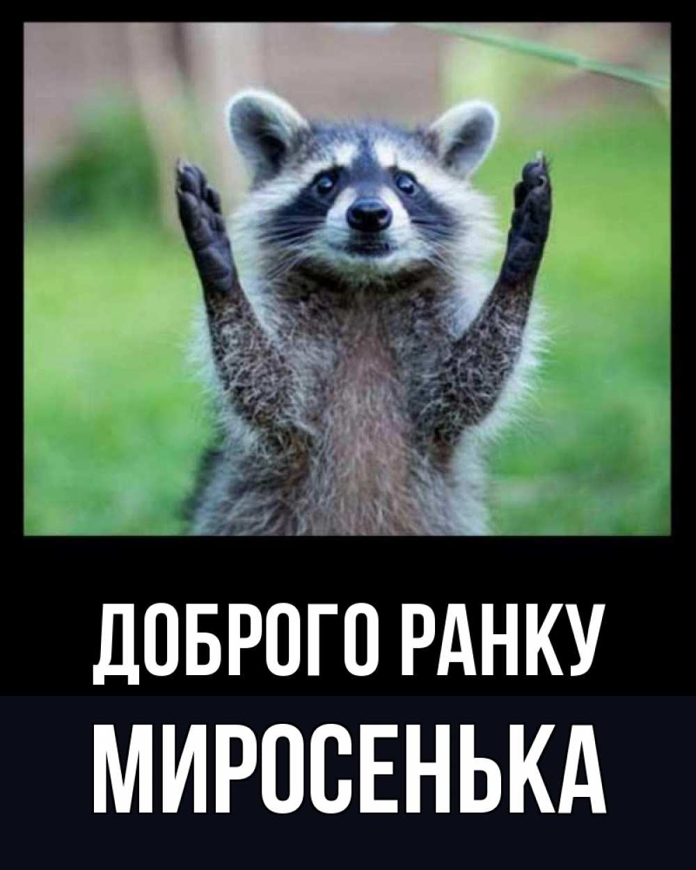 Открытка на каждый день з підписом, Миросенька Доброго ранку хорошее настроение утречком Прикольна листівка з побажанням онлайн скачати безкоштовно 