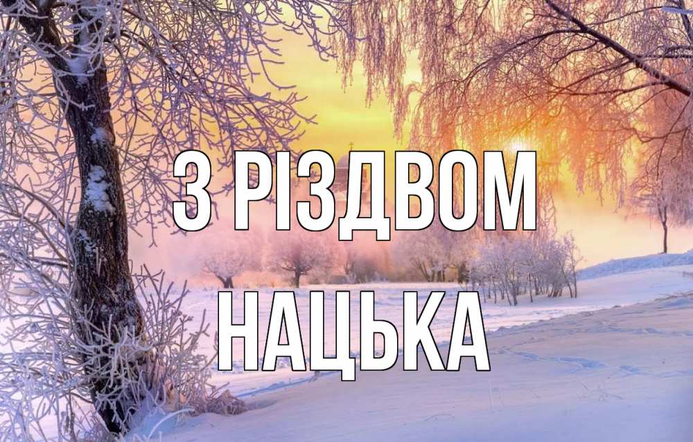Открытка на каждый день з підписом, Нацька З Різдвом рождество, лес, зима 1 Прикольна листівка з побажанням онлайн скачати безкоштовно 