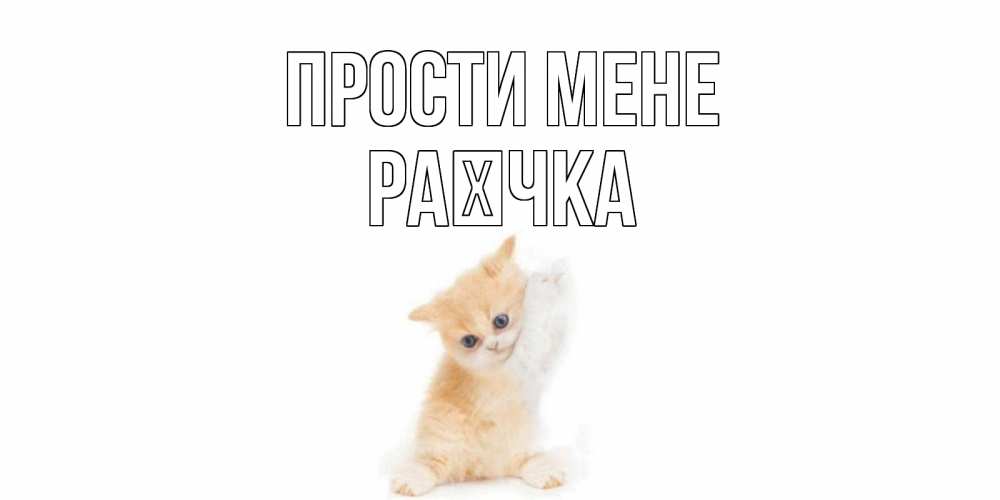 Открытка на каждый день з підписом, Раєчка Прости мене кот Прикольна листівка з побажанням онлайн скачати безкоштовно 