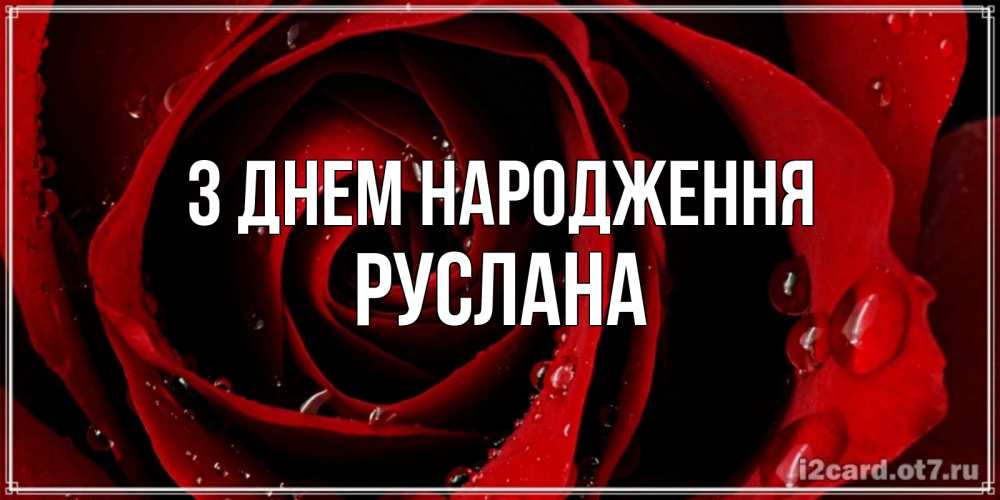 Открытка на каждый день з підписом, Руслана З Днем народження крупная бордовая роза Прикольна листівка з побажанням онлайн скачати безкоштовно 