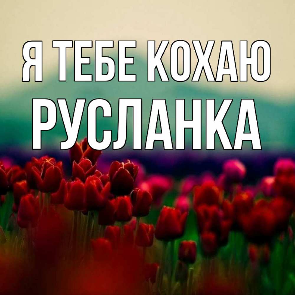 Открытка на каждый день з підписом, Русланка Я тебе кохаю тюльпаны 4 Прикольна листівка з побажанням онлайн скачати безкоштовно 