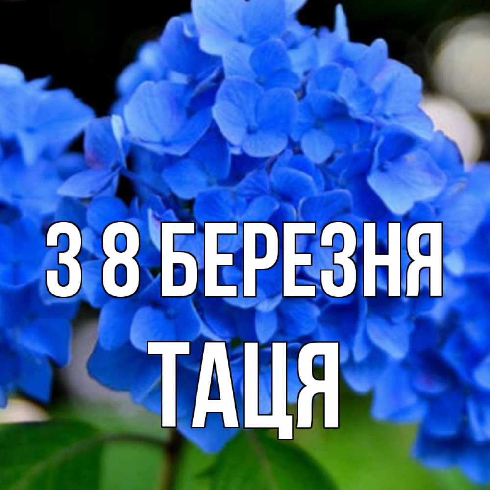 Открытка на каждый день з підписом, Таця З 8 БЕРЕЗНЯ синие цветы Прикольна листівка з побажанням онлайн скачати безкоштовно 