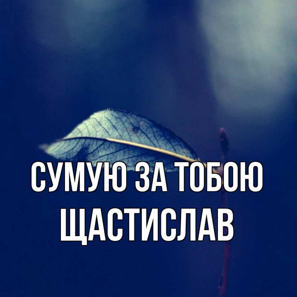 Открытка на каждый день з підписом, Щастислав Сумую за тобою одна ветка 1 Прикольна листівка з побажанням онлайн скачати безкоштовно 