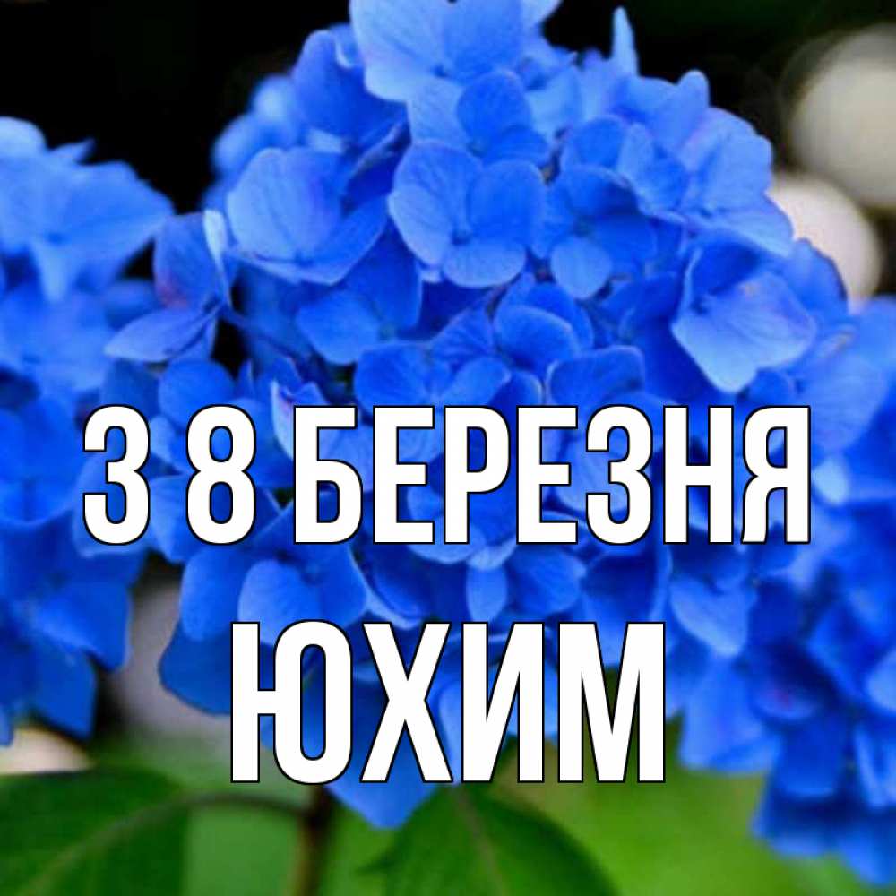 Открытка на каждый день з підписом, Юхим З 8 БЕРЕЗНЯ синие цветы Прикольна листівка з побажанням онлайн скачати безкоштовно 