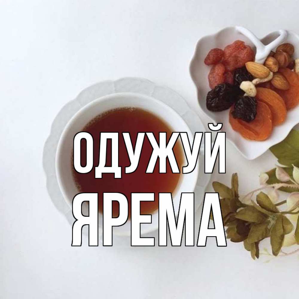 Открытка на каждый день з підписом, Ярема Одужуй неизвестные растения Прикольна листівка з побажанням онлайн скачати безкоштовно 