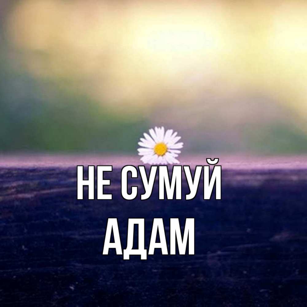 Открытка на каждый день з підписом, Адам Не сумуй красота Прикольна листівка з побажанням онлайн скачати безкоштовно 