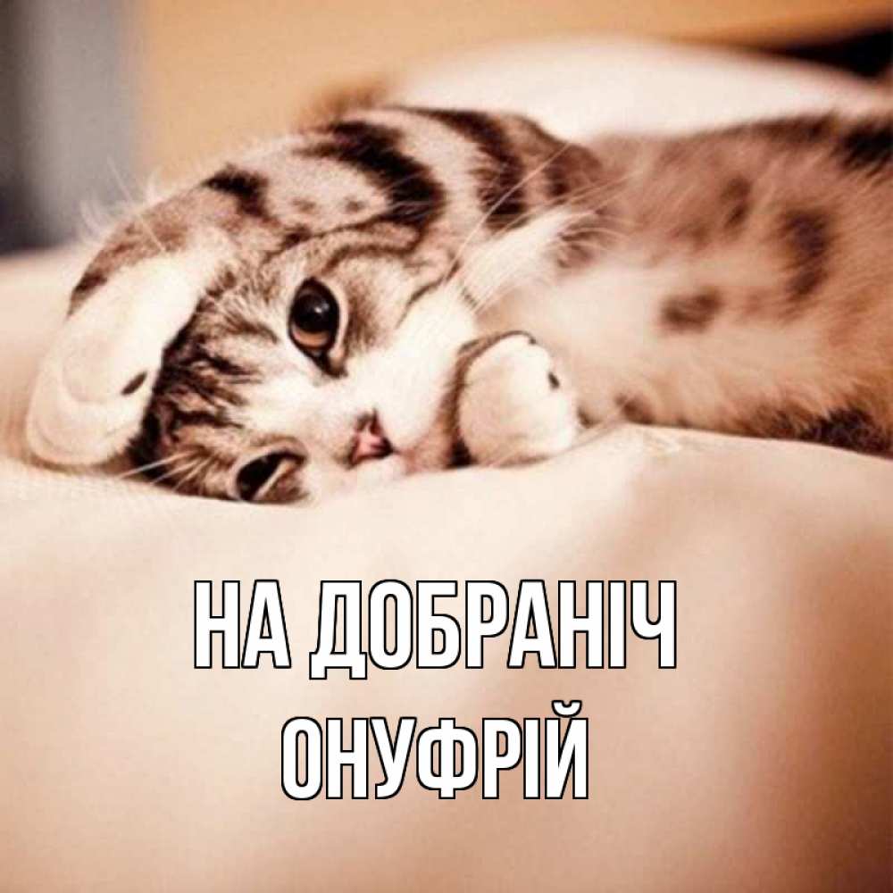 Открытка на каждый день з підписом, Онуфрій На добраніч сладких снов с животными Прикольна листівка з побажанням онлайн скачати безкоштовно 