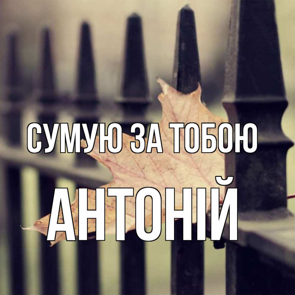 Открытка на каждый день з підписом, Антоній Сумую за тобою очень скучно Прикольна листівка з побажанням онлайн скачати безкоштовно 