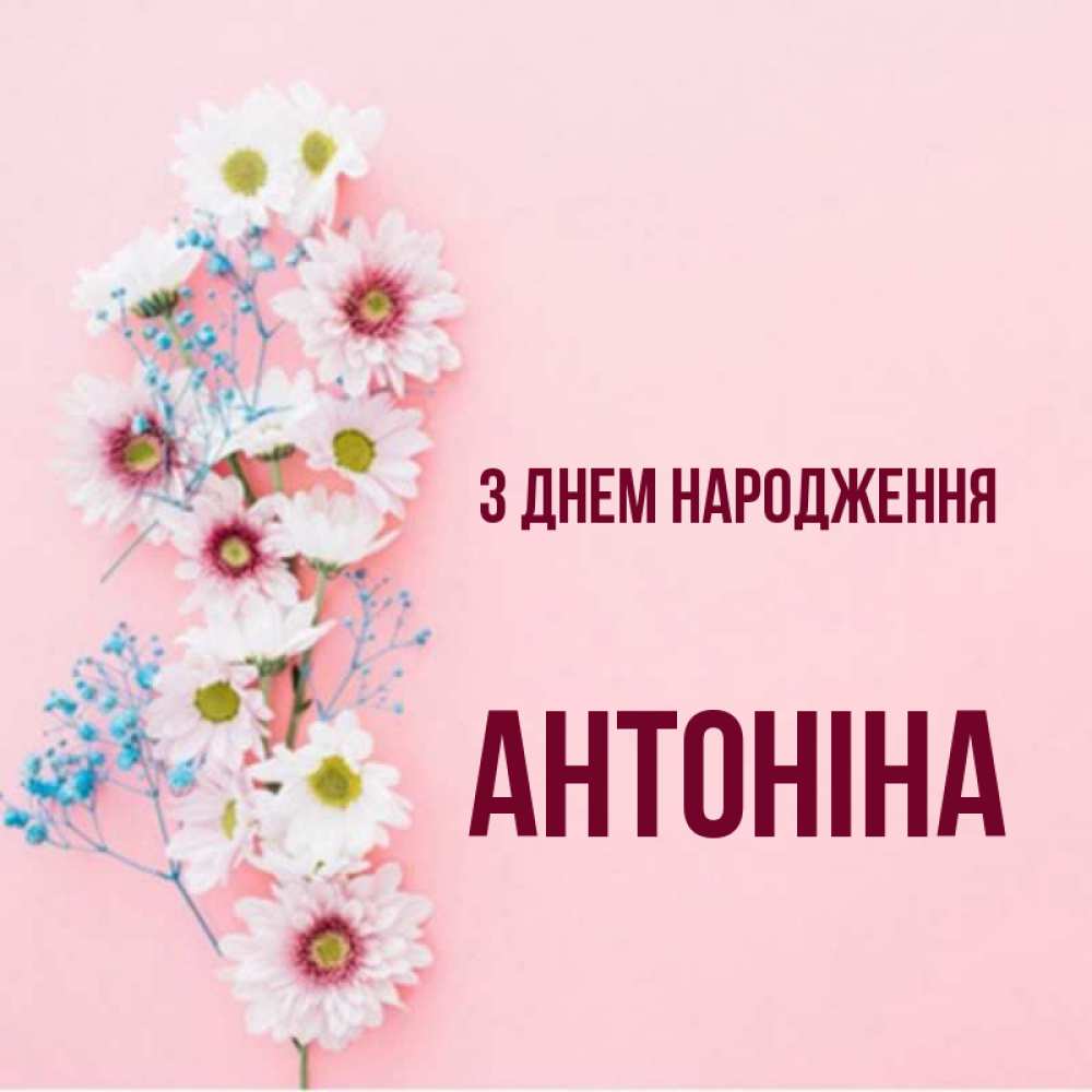 Открытка на каждый день з підписом, Антоніна З Днем народження Родная моя с днем рождения тебя картинка с цветами белыми и голубыми Прикольна листівка з побажанням онлайн скачати безкоштовно 