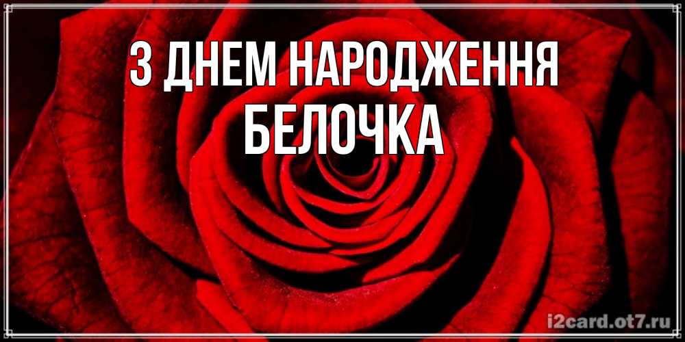 Открытка на каждый день з підписом, Белочка З Днем народження алая роза Прикольна листівка з побажанням онлайн скачати безкоштовно 
