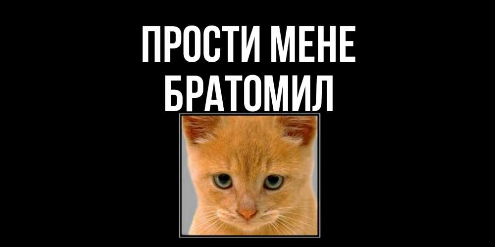 Открытка на каждый день з підписом, Братомил Прости мене рыжий грустный кот просит прощения Прикольна листівка з побажанням онлайн скачати безкоштовно 