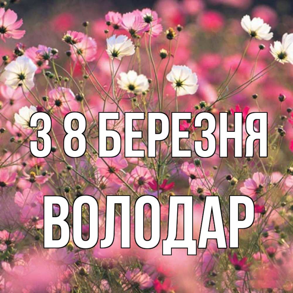 Открытка на каждый день з підписом, Володар З 8 БЕРЕЗНЯ красиво 1 Прикольна листівка з побажанням онлайн скачати безкоштовно 