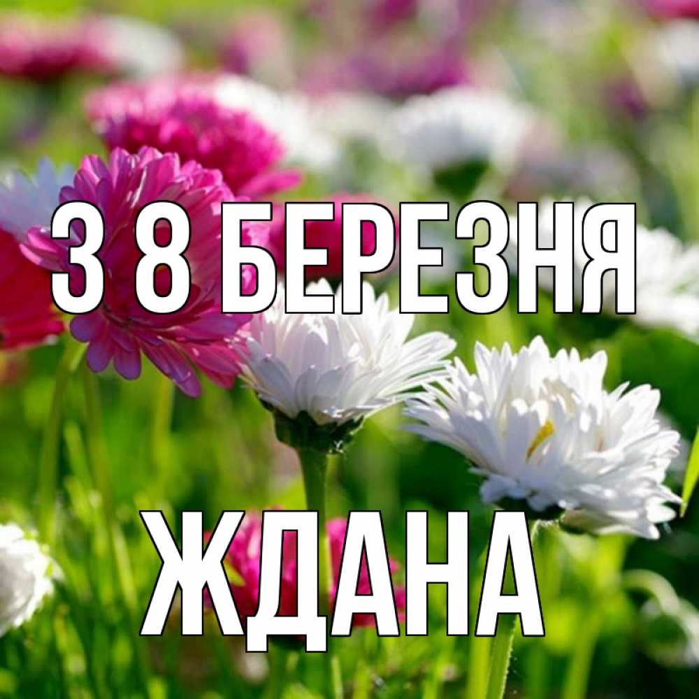 Открытка на каждый день з підписом, Ждана З 8 БЕРЕЗНЯ международный женский день 1 Прикольна листівка з побажанням онлайн скачати безкоштовно 
