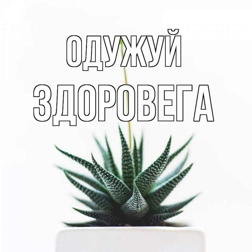 Открытка на каждый день з підписом, Здоровега Одужуй короче это непонятная колючка Прикольна листівка з побажанням онлайн скачати безкоштовно 