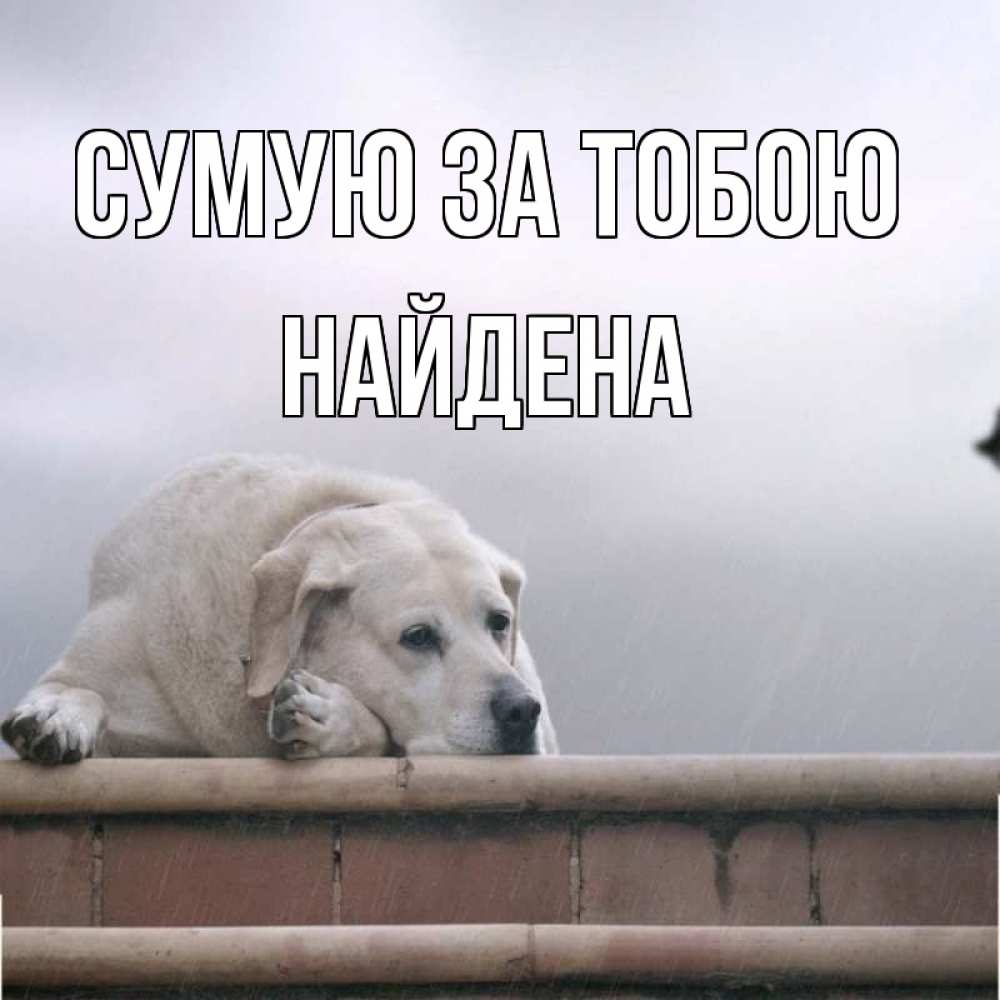 Открытка на каждый день з підписом, Найдена Сумую за тобою ждет Прикольна листівка з побажанням онлайн скачати безкоштовно 