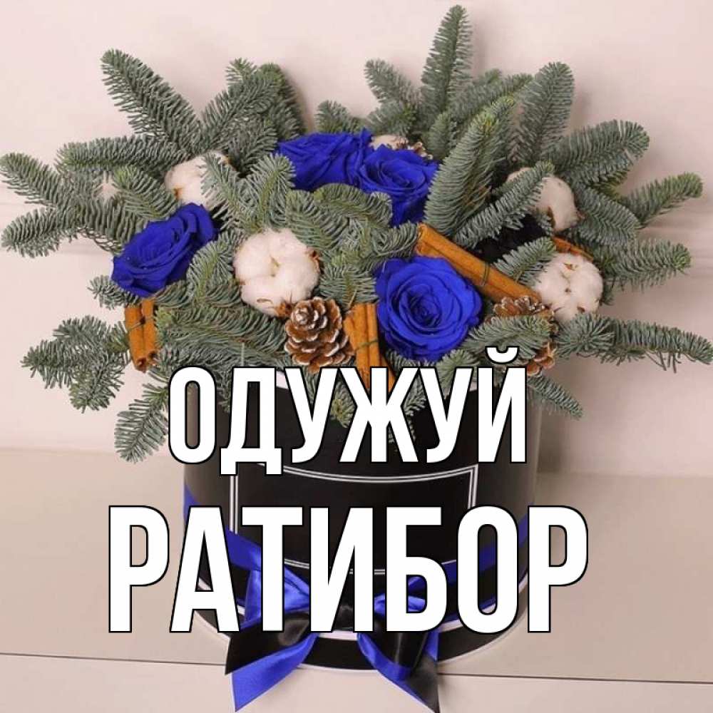 Открытка на каждый день з підписом, Ратибор Одужуй короче кто то загрузил эти шишки Прикольна листівка з побажанням онлайн скачати безкоштовно 