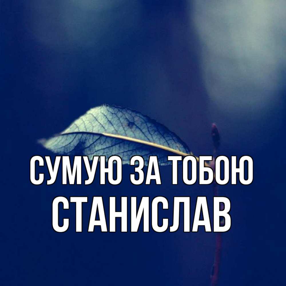 Открытка на каждый день з підписом, Станислав Сумую за тобою одна ветка 1 Прикольна листівка з побажанням онлайн скачати безкоштовно 