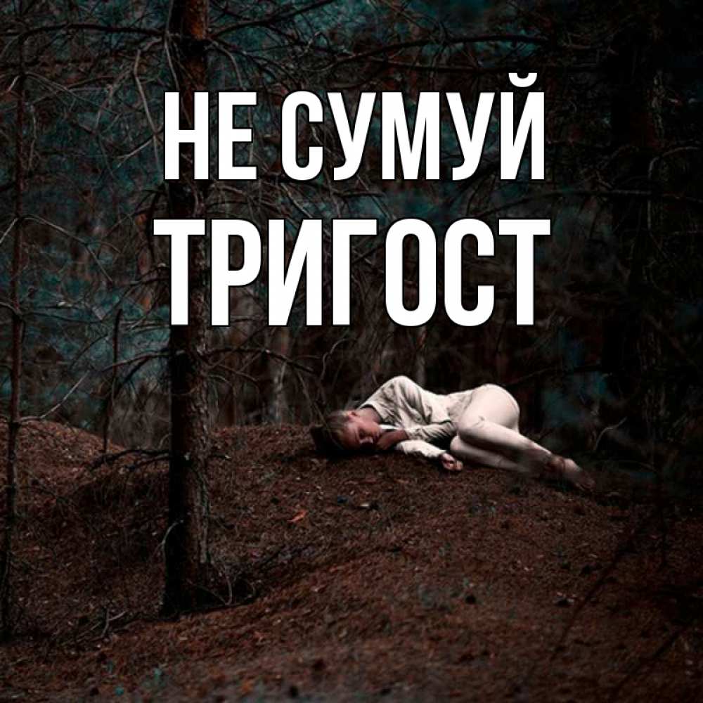 Открытка на каждый день з підписом, Тригост Не сумуй лес Прикольна листівка з побажанням онлайн скачати безкоштовно 