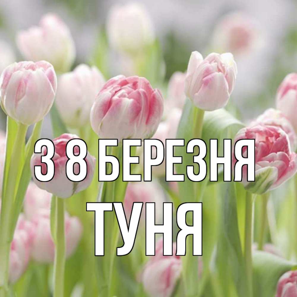 Открытка на каждый день з підписом, Туня З 8 БЕРЕЗНЯ цветы Прикольна листівка з побажанням онлайн скачати безкоштовно 
