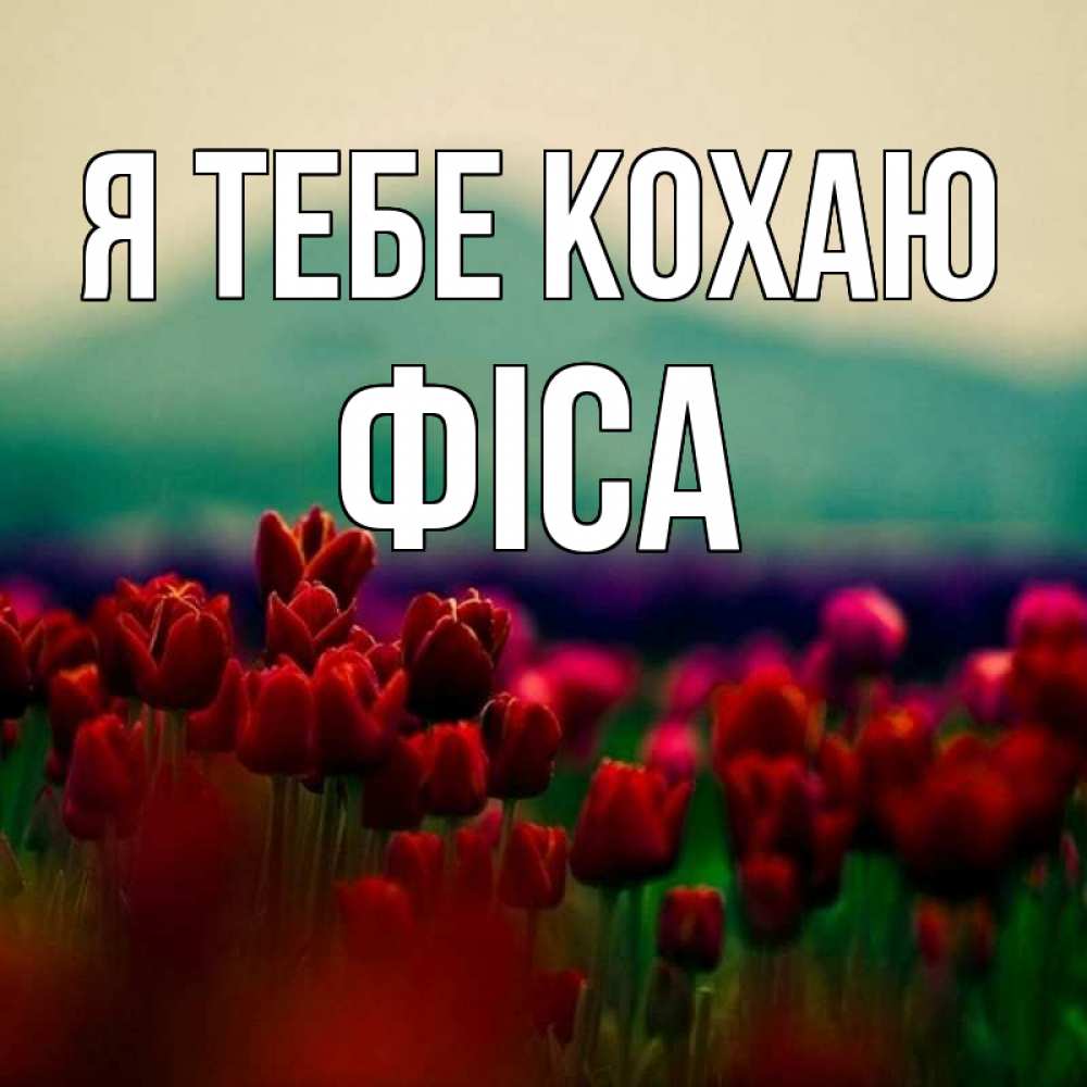 Открытка на каждый день з підписом, Фіса Я тебе кохаю тюльпаны 4 Прикольна листівка з побажанням онлайн скачати безкоштовно 