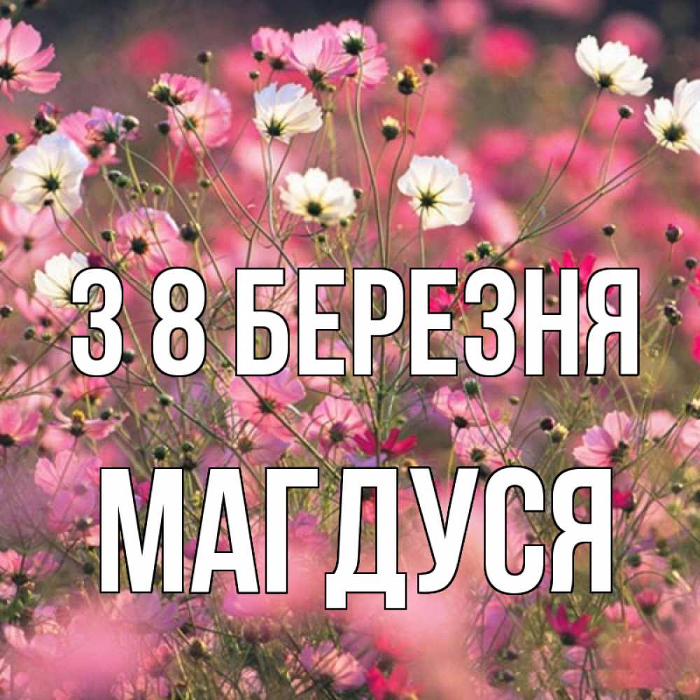Открытка на каждый день з підписом, Магдуся З 8 БЕРЕЗНЯ красиво 1 Прикольна листівка з побажанням онлайн скачати безкоштовно 