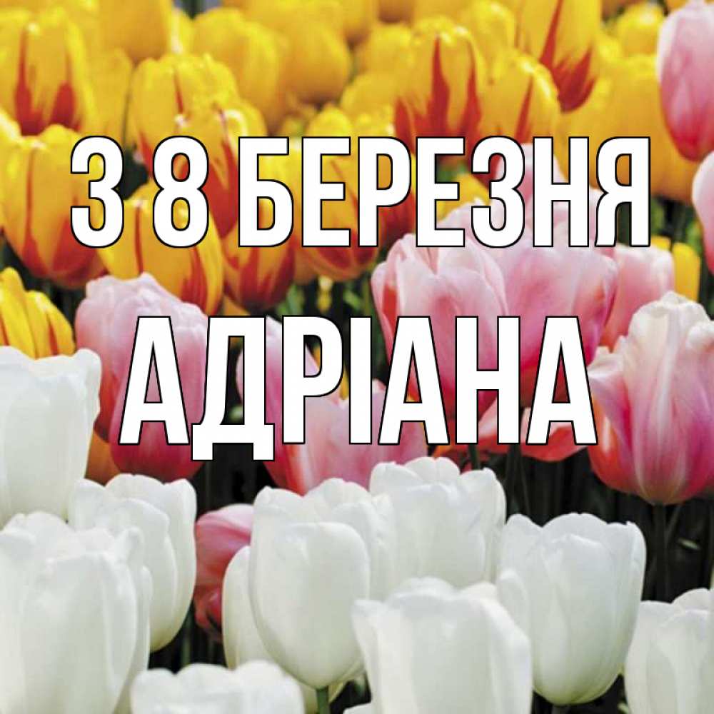 Открытка на каждый день з підписом, Адріана З 8 БЕРЕЗНЯ разноцветные цветы Прикольна листівка з побажанням онлайн скачати безкоштовно 