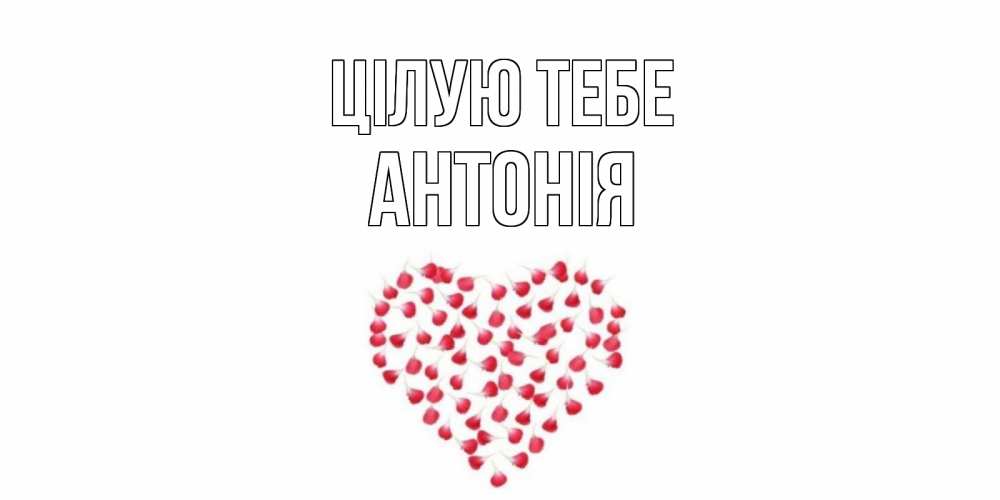 Открытка на каждый день з підписом, Антонія Цілую тебе сердце Прикольна листівка з побажанням онлайн скачати безкоштовно 