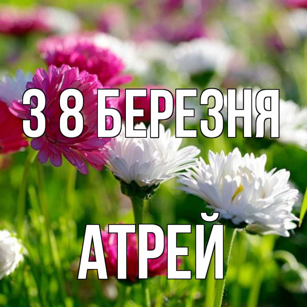 Открытка на каждый день з підписом, Атрей З 8 БЕРЕЗНЯ международный женский день 1 Прикольна листівка з побажанням онлайн скачати безкоштовно 