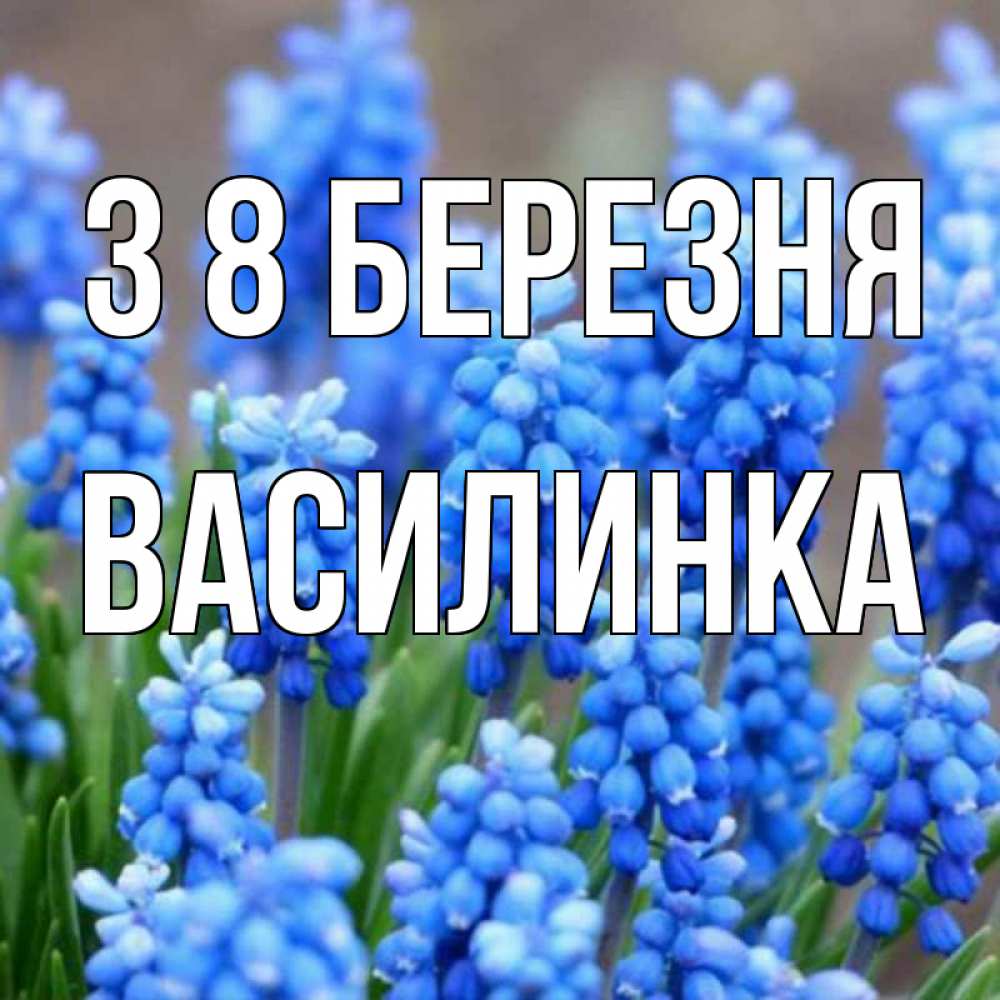 Открытка на каждый день з підписом, Василинка З 8 БЕРЕЗНЯ Поздравительная открытка для женщин с цветами на праздничную дату Прикольна листівка з побажанням онлайн скачати безкоштовно 