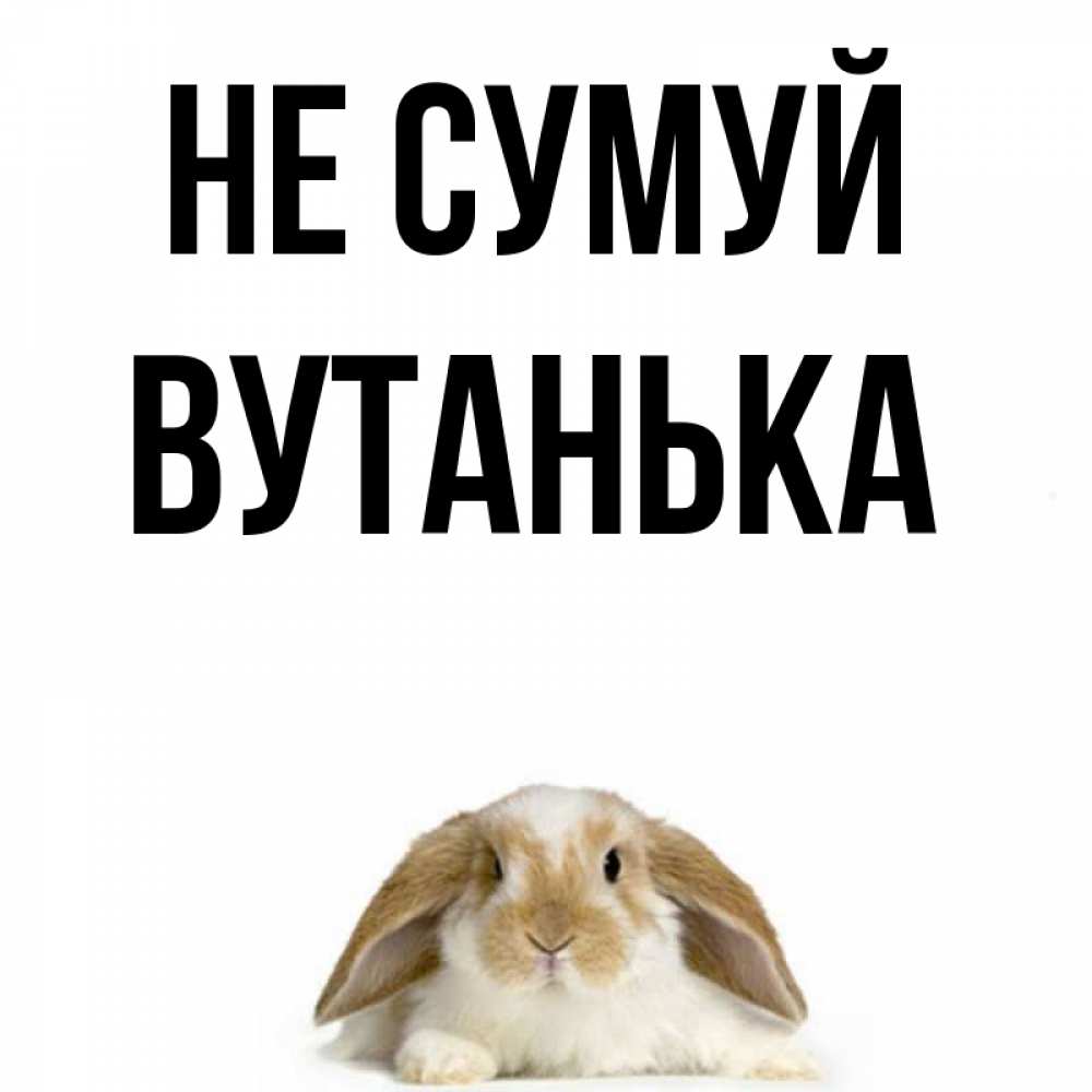 Открытка на каждый день з підписом, Вутанька Не сумуй коричнево белый заяц с большими ушками Прикольна листівка з побажанням онлайн скачати безкоштовно 