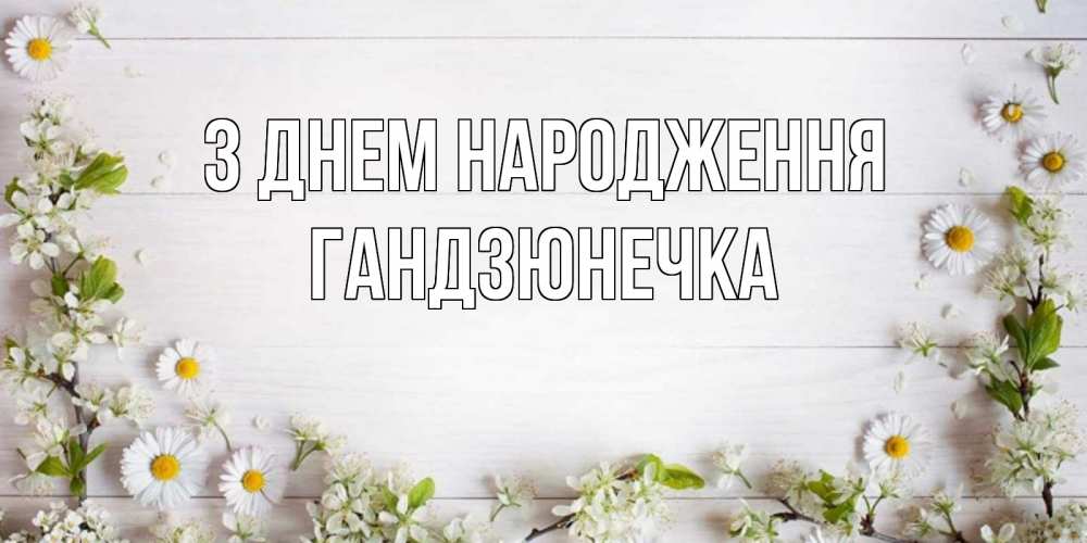 Открытка на каждый день з підписом, Гандзюнечка З Днем народження Воздушные шары Прикольна листівка з побажанням онлайн скачати безкоштовно 