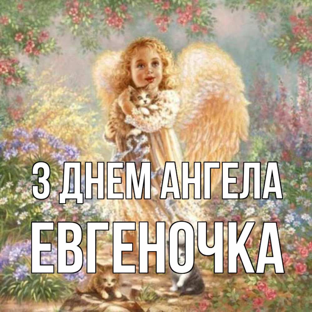 Открытка на каждый день з підписом, Евгеночка З Днем ангела держит котенка Прикольна листівка з побажанням онлайн скачати безкоштовно 