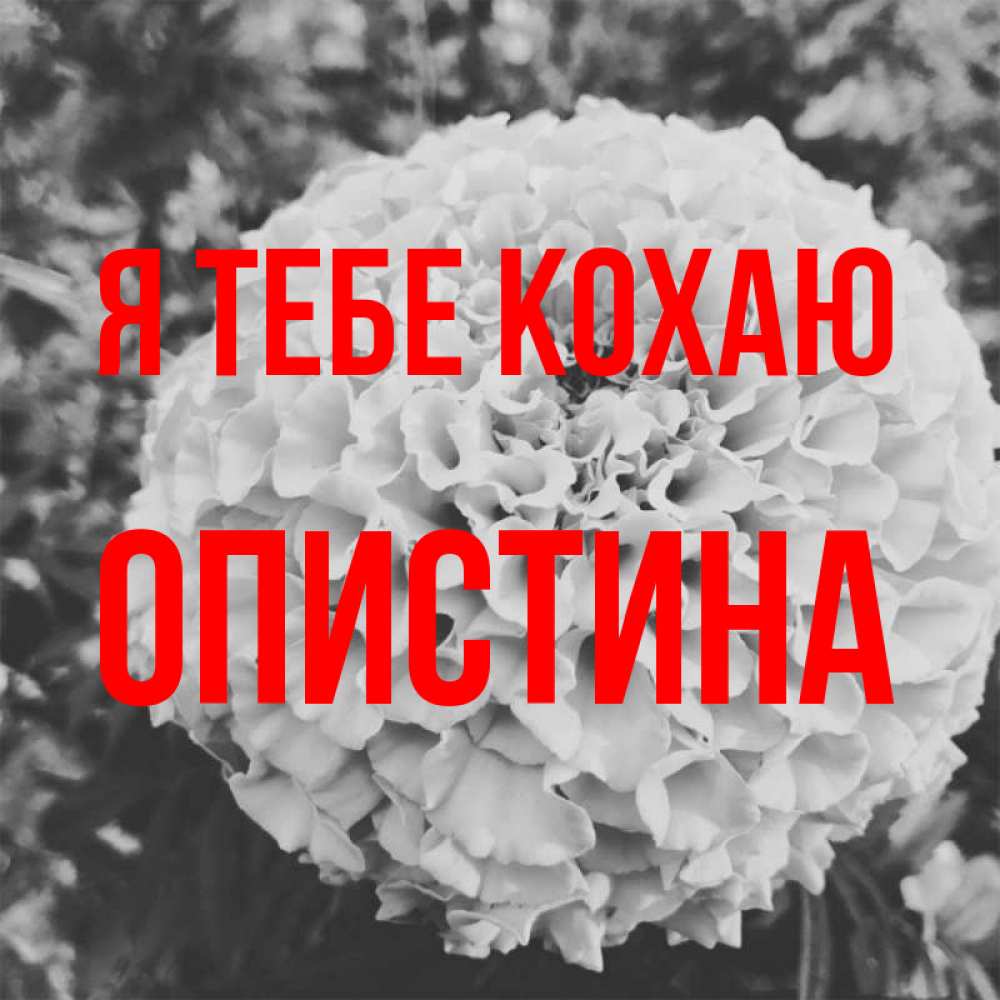 Открытка на каждый день з підписом, Опистина Я тебе кохаю подпись Прикольна листівка з побажанням онлайн скачати безкоштовно 