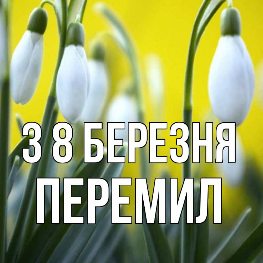 Открытка на каждый день з підписом, Перемил З 8 БЕРЕЗНЯ весенние цветы Прикольна листівка з побажанням онлайн скачати безкоштовно 