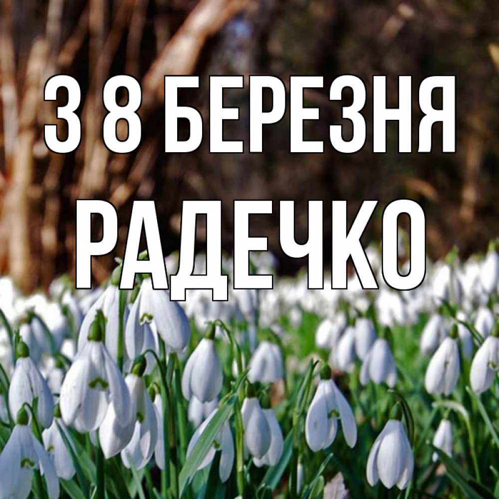 Открытка на каждый день з підписом, Радечко З 8 БЕРЕЗНЯ с подснежниками 1 Прикольна листівка з побажанням онлайн скачати безкоштовно 