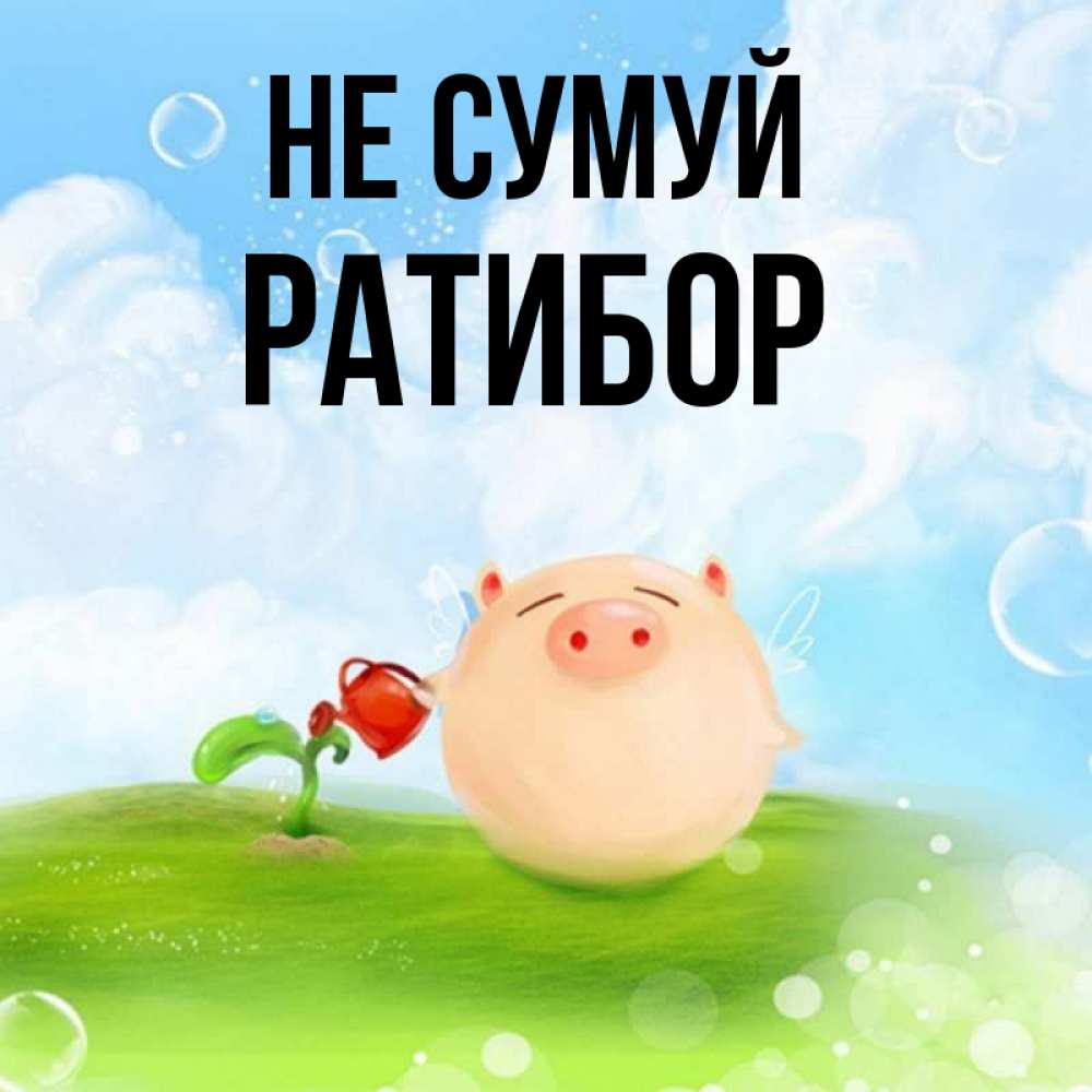 Открытка на каждый день з підписом, Ратибор Не сумуй поливает цветок порося Прикольна листівка з побажанням онлайн скачати безкоштовно 