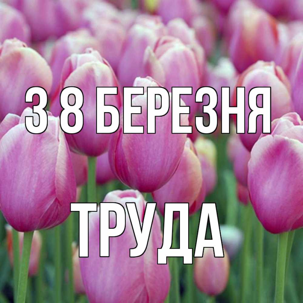 Открытка на каждый день з підписом, Труда З 8 БЕРЕЗНЯ на международный женский день 3 Прикольна листівка з побажанням онлайн скачати безкоштовно 