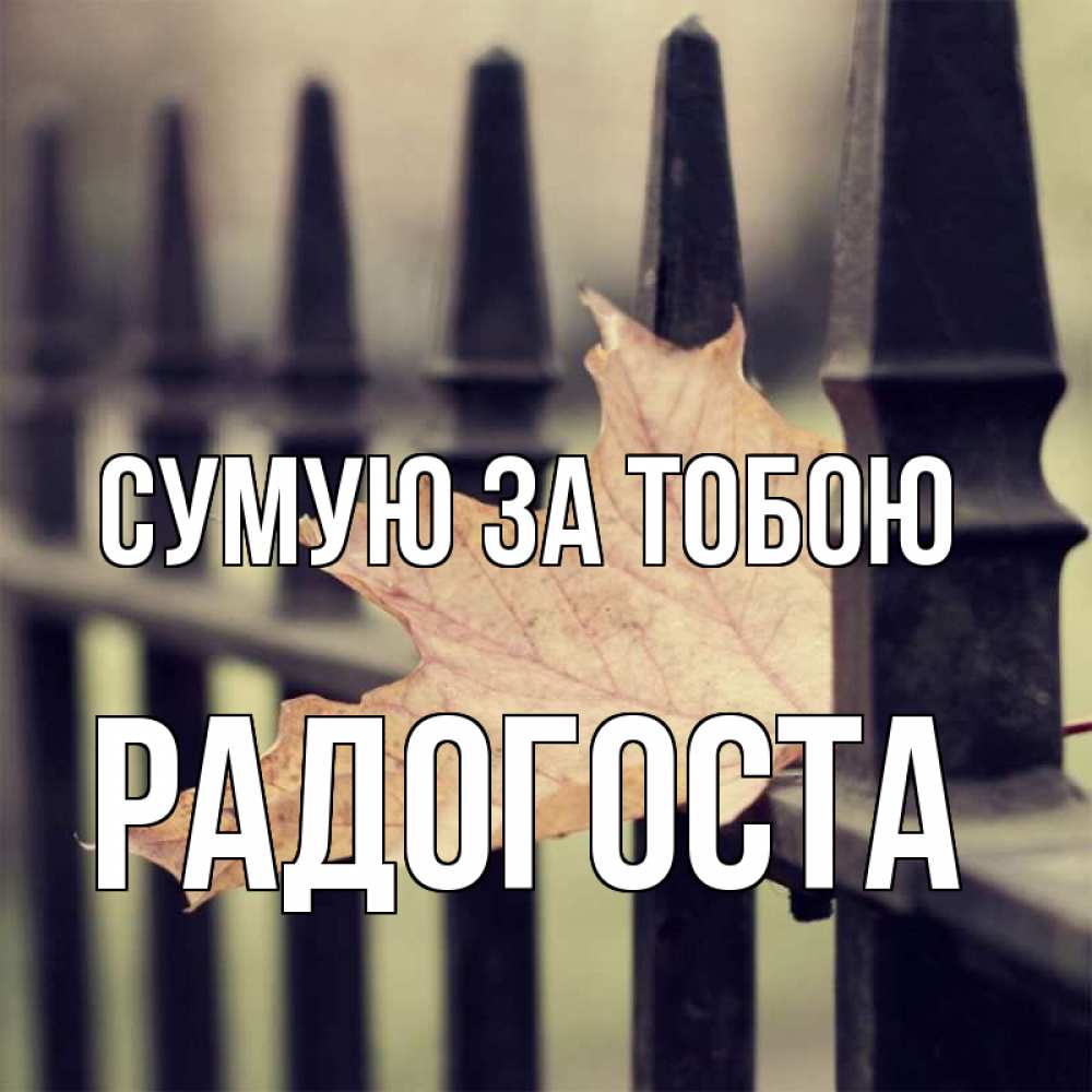 Открытка на каждый день з підписом, Радогоста Сумую за тобою очень скучно Прикольна листівка з побажанням онлайн скачати безкоштовно 